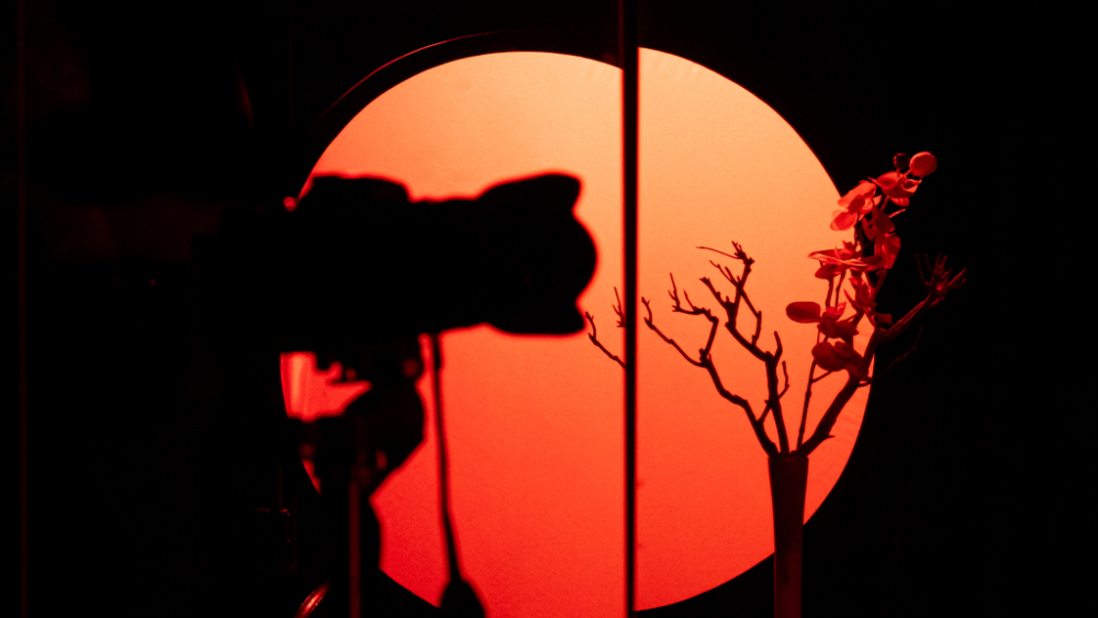 LQ_Tegenlicht studio FAK 13-2-2025 HQ-5