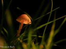 Annemiek Backx - Studiofotografie-10-2025 LQ_-11