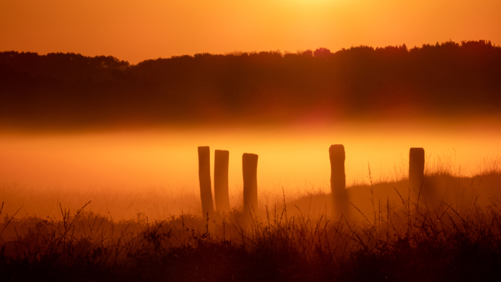 LQ_Annemiek Backx _ Zonsopgang op de Regte Heide