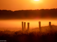 LQ_Annemiek Backx _ Zonsopgang op de Regte Heide