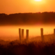 LQ_Annemiek Backx _ Zonsopgang op de Regte Heide