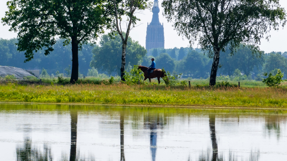 LQ_Inge van Doremalen_Zicht op Hilvarenbeek