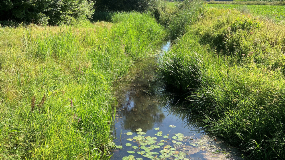 LQ_Marjon van Gils_Leij Goirle