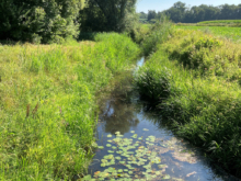 LQ_Marjon van Gils_Leij Goirle