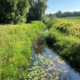 LQ_Marjon van Gils_Leij Goirle