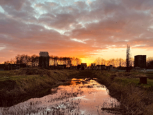 LQ_Annemiek Backx - Zonsondergang